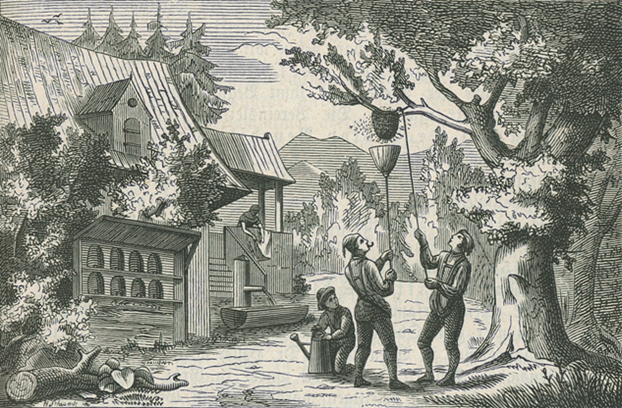 Historisch Imkerei Landesverband Kupferstich Holzstich Alt Früher