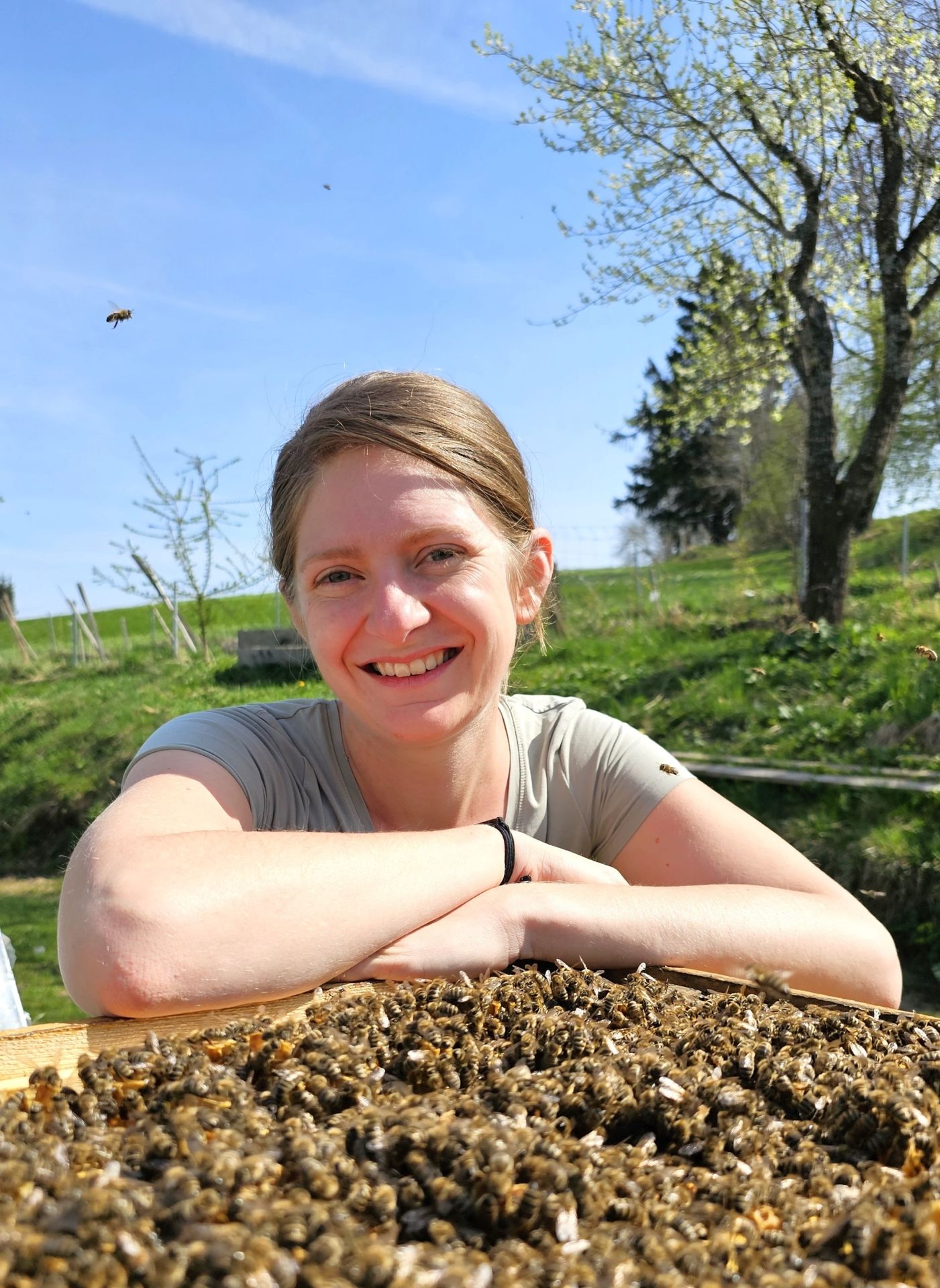 Anna Perner Wanderlehrerin Landesverband Imker Vortrag